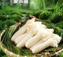Bamboo Mushroom