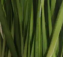 Leek