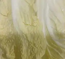Chinese cabbage