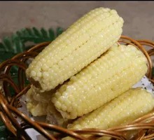 Sweet Corn