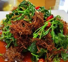 Cold-Mixed Tree Mushroom and Sargentodoxa Salad