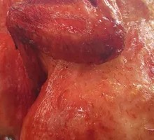 奥尔良风味烤鸡