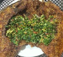 Tilapia