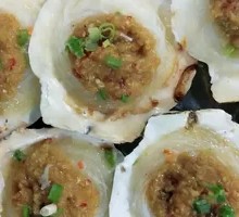 Scallop