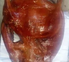 Pipa Duck