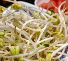 Bean sprouts