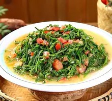 Wild Tomato and Water Fern Salad