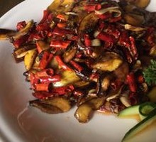 Yellow Beef Mushroom