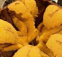 Sea Urchin Sashimi
