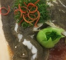 Fresh Turbot