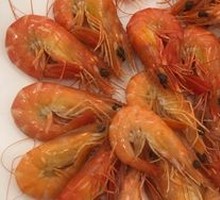 Prawn