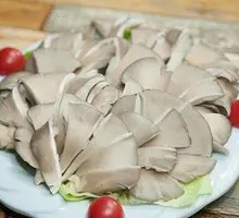 Artificial Mushroom