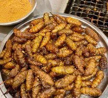 Silkworm pupae