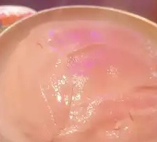 Palm-sized Kidney Slices