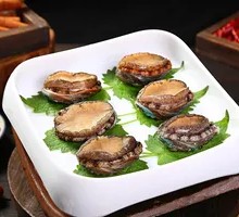 Live Abalone