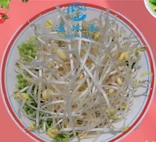 Mung Bean Sprouts