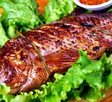 Grilled Fish