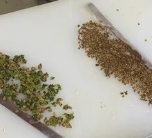 Scallion Pork Minced