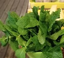Mint