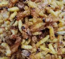 Fried Bee Larvae