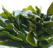 Kelp