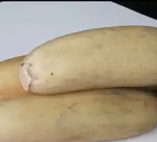 Lotus Root
