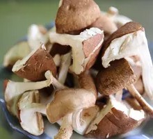 Shiitake Mushroom