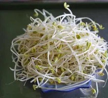 Bean sprouts