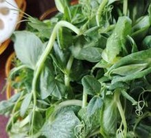 Pea Shoots