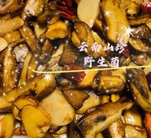 Wild Mushroom (Boletus)