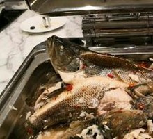 Steamed Sea Bass