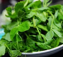 Bean Sprout Greens