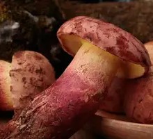 Blue-staining Mushroom