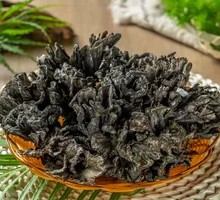 Dry Mushroom