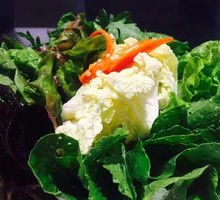 Organic Vegetable Salad