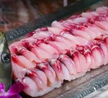 Wild Seven-Star Fish