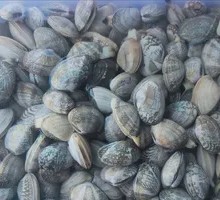 Stir-Fried Clams with Garlic