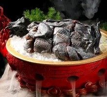 Black Phoenix Chicken