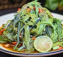 Shasong Tip Cold Mix