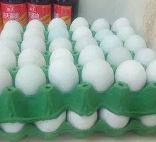 Salted duck egg