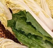 High Mountain Baby Bok Choy