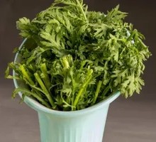 Chinese chrysanthemum greens