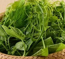 Stir-Fried Snake Gourd Tips