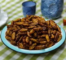 Silkworm pupae