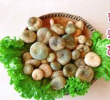 Green-headed Mushroom