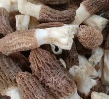Morel Mushroom Platter