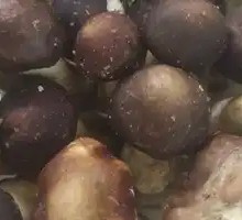 King Oyster Mushroom