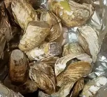 Steam-Pressure Cooked Oysters