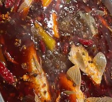 Eco-friendly Bighead Carp