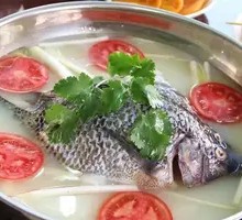 Tilapia